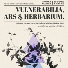 Vulnerabilia