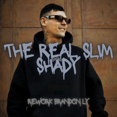 The Real Slim Shady - BRANDON LY edit.