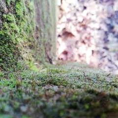 Give me a JFK (160bpm)