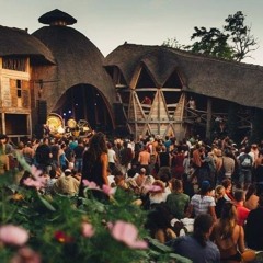 Sárkányfészek / Főzőliget