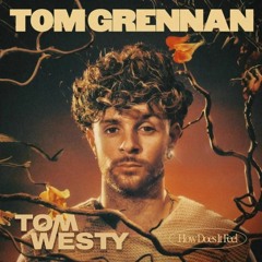 Tom Grennan - How Does It Feel (Tom Westy Remix)