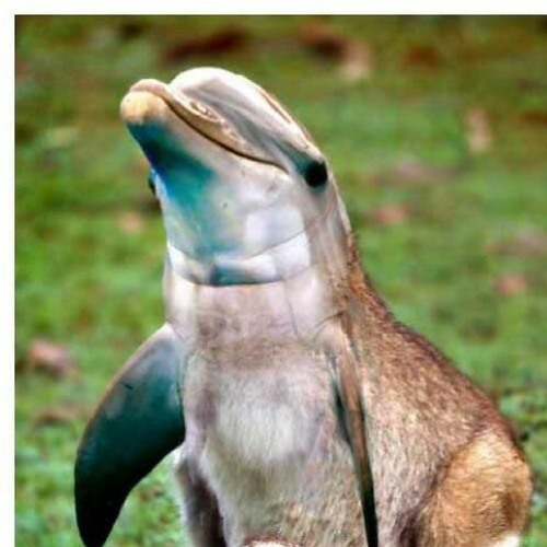 i forgot i made this