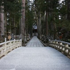 Review Special Price 1day Mt Koya Tour Okunoin Danjo Garan Temples From Osaka