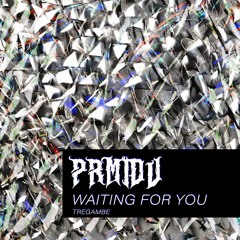 PREMIERE | PRMIDV - Waiting For You [TREGAMBE]