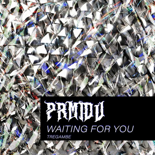 PREMIERE | PRMIDV - Waiting For You [TREGAMBE]