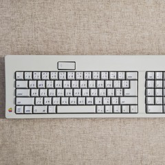 Apple Standard Keyboard M0116 (Alps SKCM Salmon)