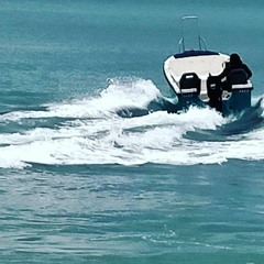 maris 2022 fegu gee x dee legg x uncle dee