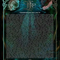 Vintage Culture @ Mainstage, Tomorrowland Weekend 1, Belgium 2024-07-19