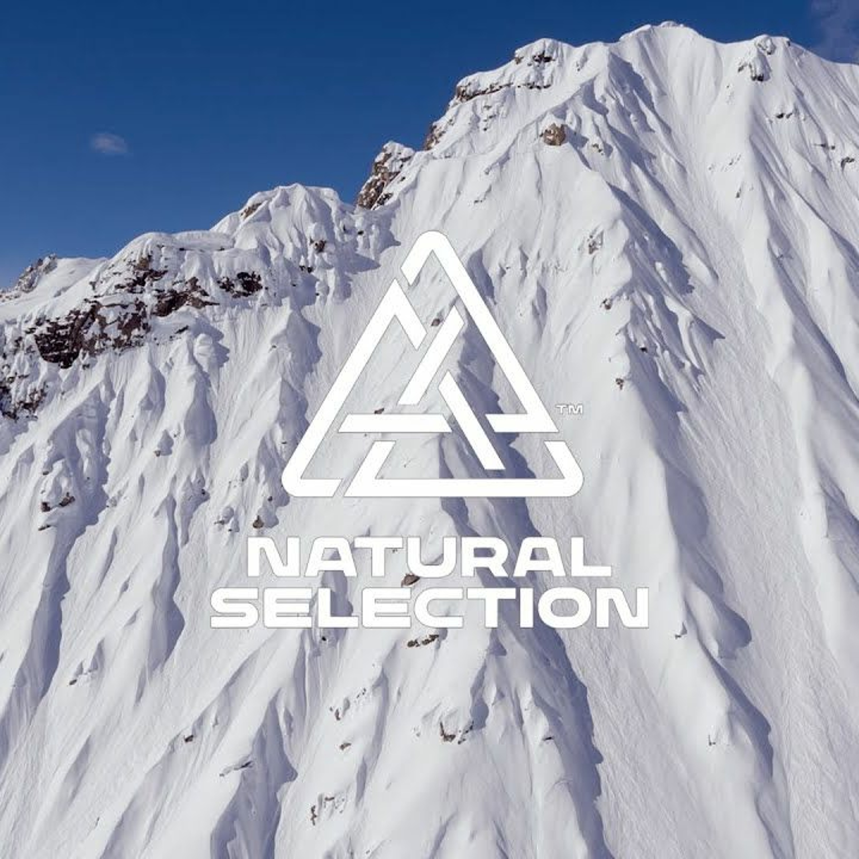 News Brief Jan. 25 | SAR Teams Respond to Multiple Incidents, Natural Selection Kicks Off episode artwork