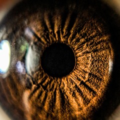 (REMIX REUPLOAD)  - KISEIJUU OST - Speak (migi's theme)