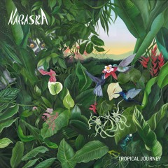 Tropical Journey Album