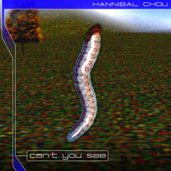 Can't you see