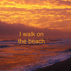 Barry Lake - I walk on the beach