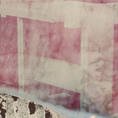 Appetite For Selection 222 - Charles Webster