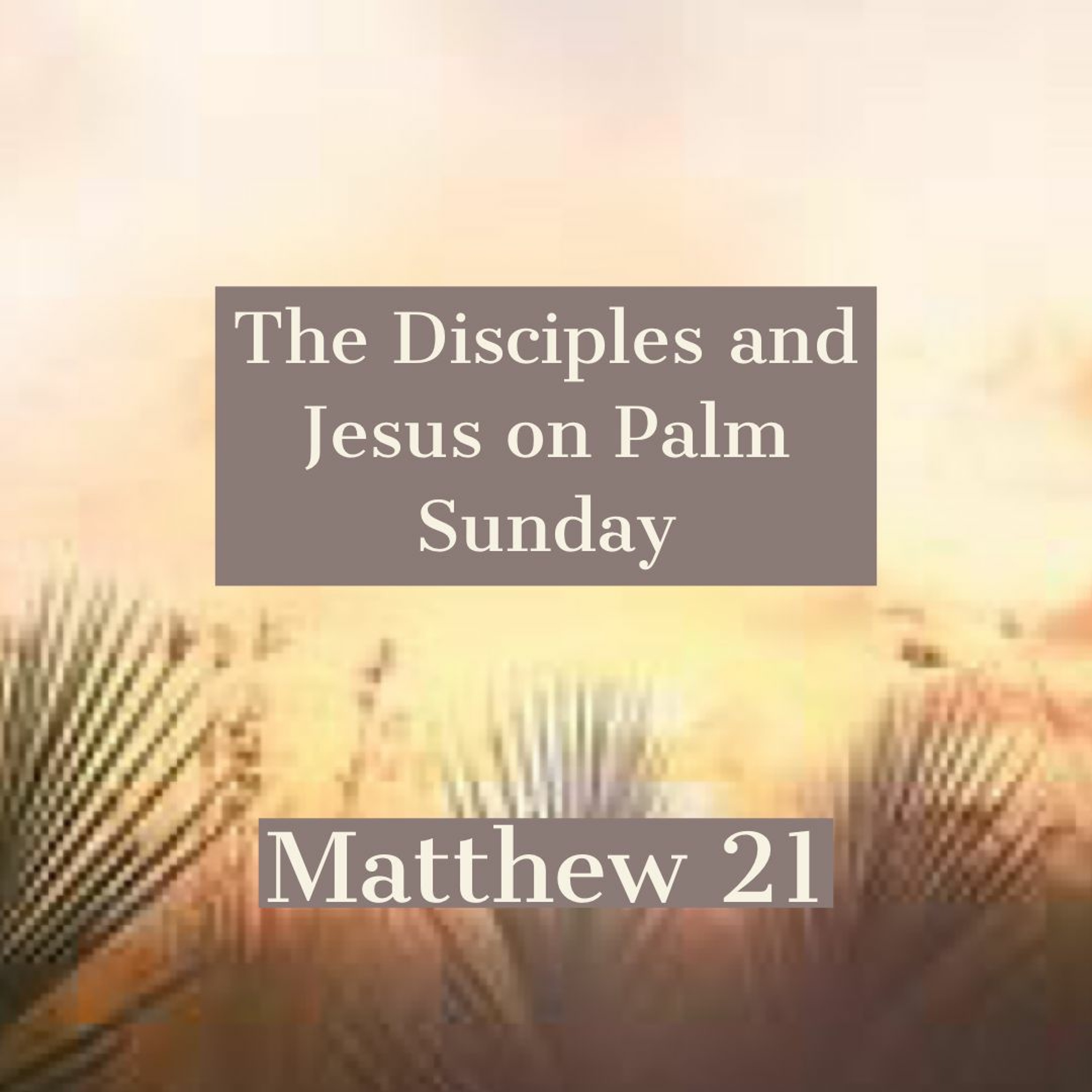 The Disciples and Jesus on Palm Sunday - Pastor Dave April 5, 2020