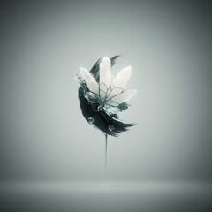 Nordic-Japanese Ritual