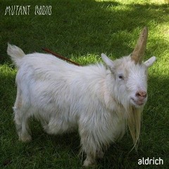 Aldrich [short attention span]