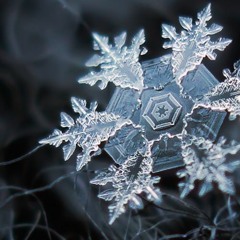 w/ ALY - Snowflakes