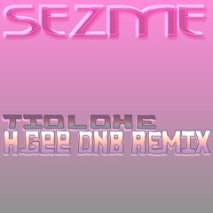SEZME (H.Gee DnB Remix)
