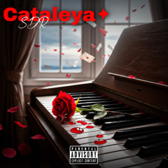 SDR - Cataleya✦