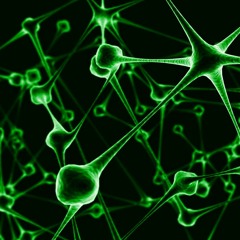 Pandemic Prophecy - 155 WIP