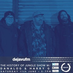 The History of Jungle Show EP189 feat. Danalog & Harry G