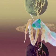 01 - Etherium 1