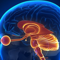 Brainspotting Bilateral Stimulation Music -1