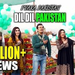 Dil Dil Pakistan |  Hamayoon Khan | New Pashto Song 2019