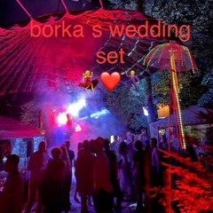 REC - 2023 borka and the gang wedding set @norbwald august 2023