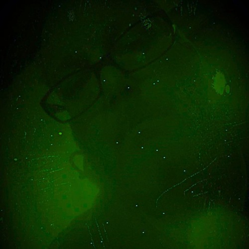 NOSTALGIA INSTINCTO ANIMALI