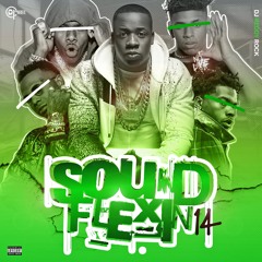 SoundFlexin14