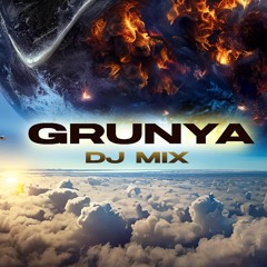 DJ Grunya HOUSE mix