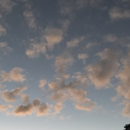 Stream 🍯Papercut🫐 - Linkin Park (slowed) by ~𝓑𝓻𝓮𝓪𝓷𝓷𝓮~ | Listen online ...