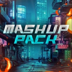 Mashups/Bootlegs/Remix Pack Vol.4 - Tech House, Electro House, Bass House, Reggaeton. tOP HYPPEDIT