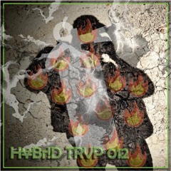 H¥Br!D TRVP 012