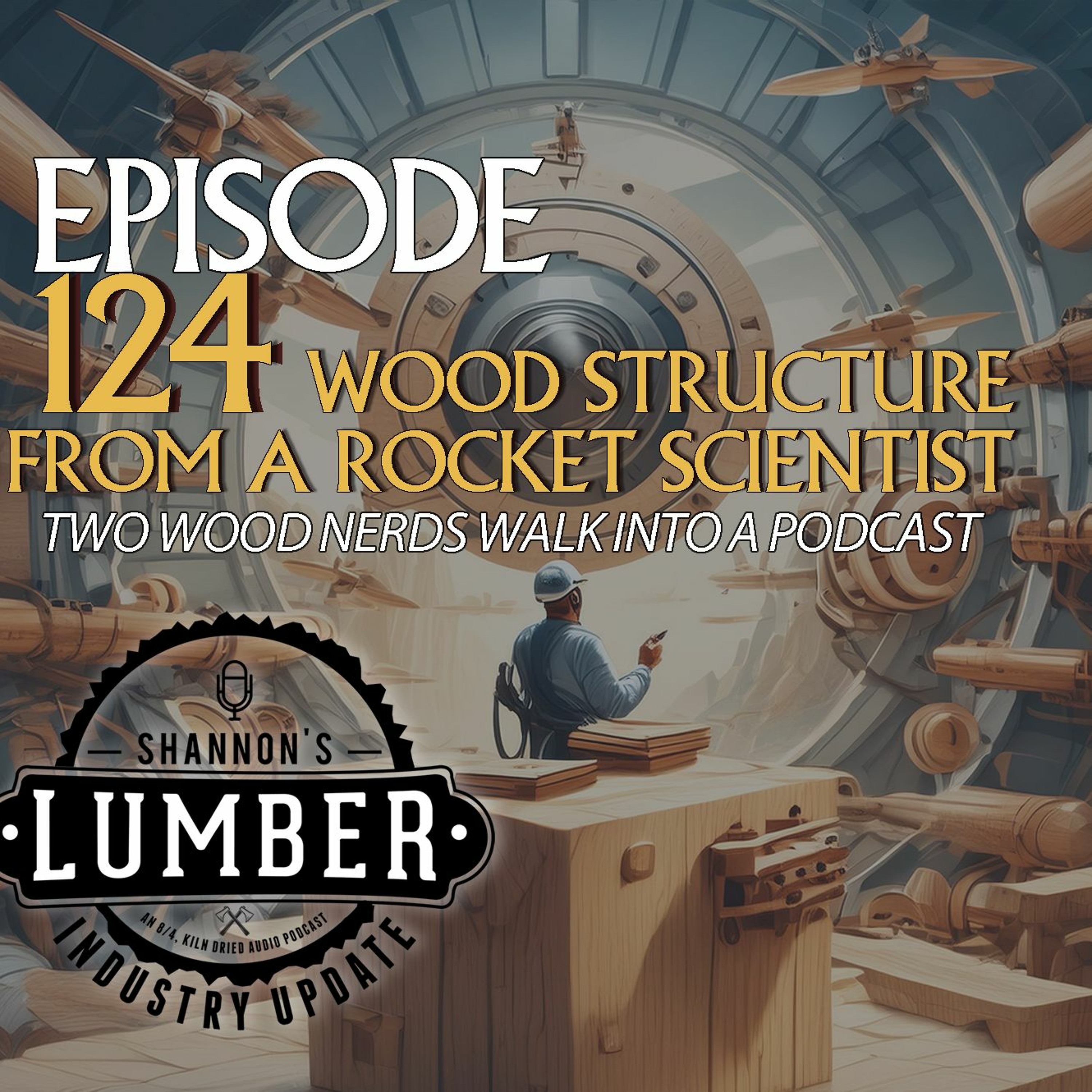 124 Wood Structure from a Rocket Scientist