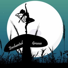 Enchanted Groove