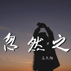 王天阳 - 忽然之间 (完整版)【動態歌詞/Lyrics Video】