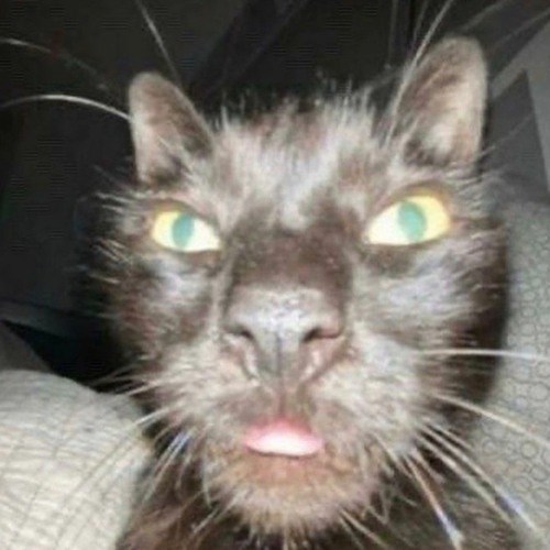 I SQUIRTED (splatoon)