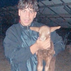 james dean (wvy flip)