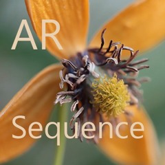 AR Sequence