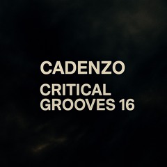 Cadenzo - Critical Grooves 16