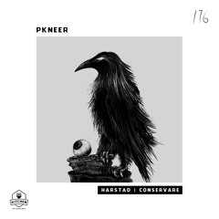 PKNeer - Harstad (Original Mix)