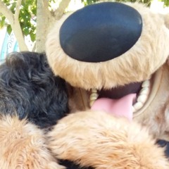 6  Prt 2 Acoustic Drums And Washboard 106 Bpm By Mad Fingers SC