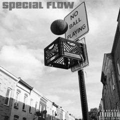 Special Flow (Prod. Plaino)