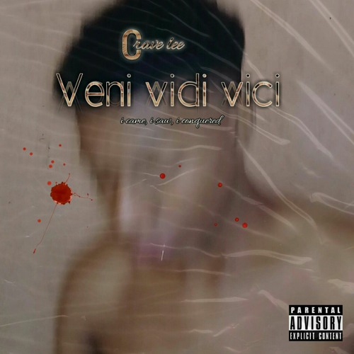 Veni Vidi Vici (I came, I saw, I conquered) - Veni Vidi Vici - Pin