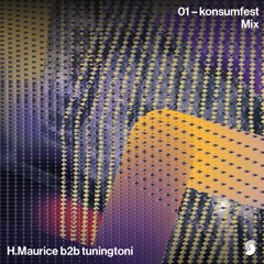 H.Maurice b2b tuningtoni – konsumfest-Mix 01 | Schallvagabunden