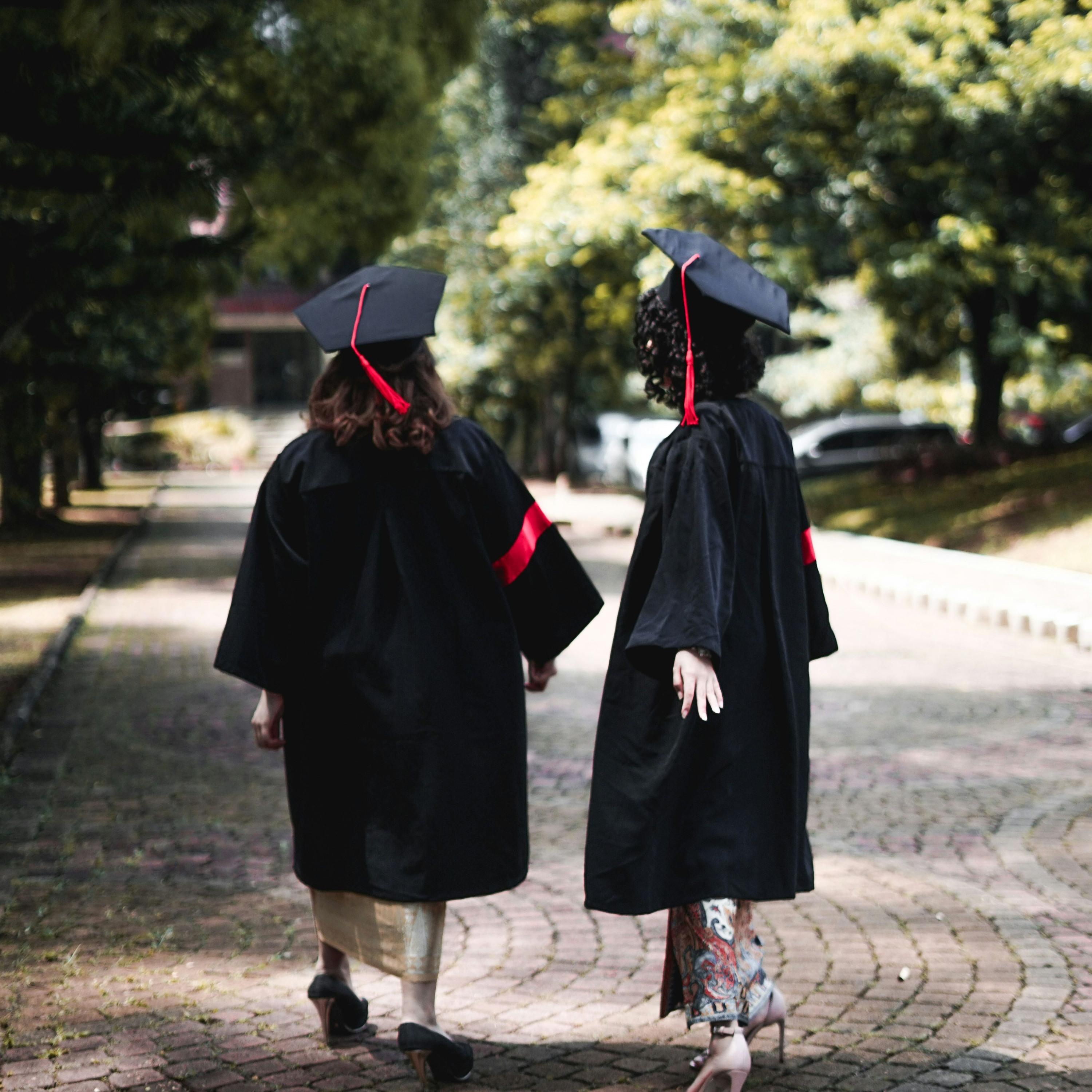 Summer Short Series: Appearance-Inclusive University