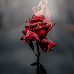 Poison